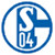 camiseta de Schalke 04